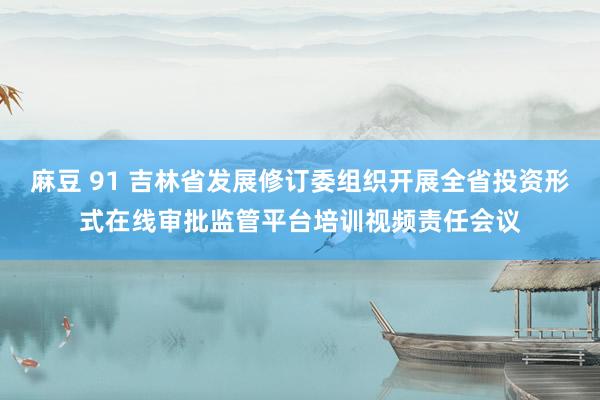 麻豆 91 吉林省发展修订委组织开展全省投资形式在线审批监管平台培训视频责任会议