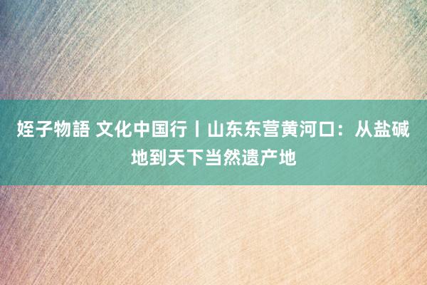 姪子物語 文化中国行丨山东东营黄河口：从盐碱地到天下当然遗产地